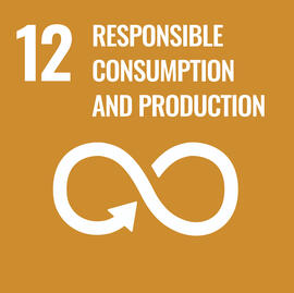 SDG 12 Ensure sustainable consumption and production patterns